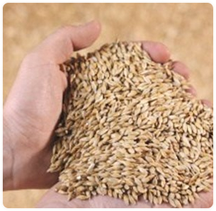 Крахмал картофельный