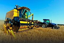 Семена ячменя озимого купить Виват Ерема Маруся Тимофей Фокс 1