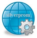 Логотип ООО фирма Силвер