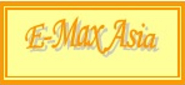 Логотип E-MAX Asia